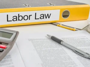 depositphotos_57832979-stock-photo-folder-with-the-label-labor.jpg