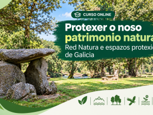 portada del curso.png